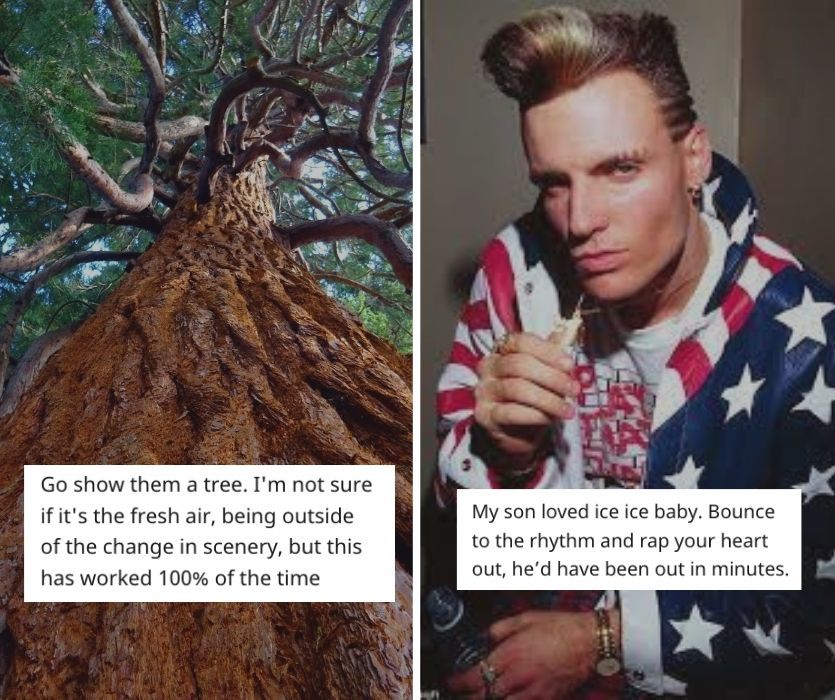 Split image: a sequoia tree from below and Vanilla Ice in an American flag jacket. Text boxes provide parenting advice.