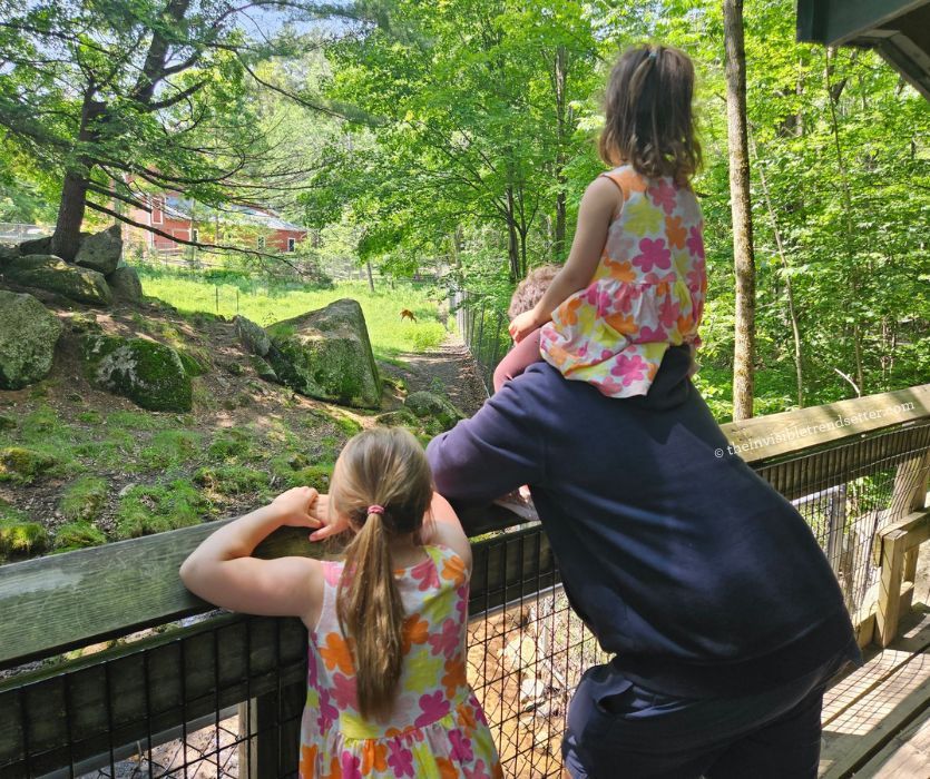 Two young girls in matching floral dresses look at animals with an adult from a wooden observation deck.