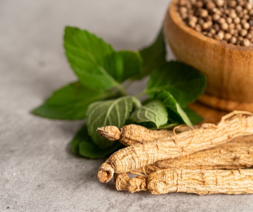 Dried ginseng roots resting on a gray surface next to fresh green leaves and a wooden bowl of seeds.