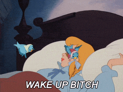 Animated blue birds pull Cinderella's hair to wake her up. Text reads, WAKE UP BITCH.