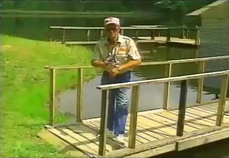 A man stands on a wooden dock above the water, holding a fishing rod beside the railing near a grassy bank and small boathouse on a sunny day.