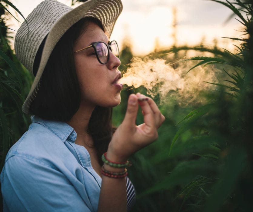 Woman in a sun hat smoking a joint in a field of cannabis plants at sunset.