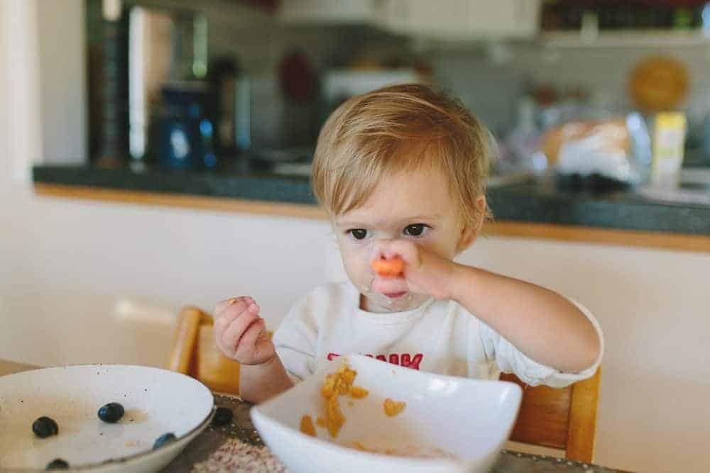 Toddler sitting at a table eating cereal while holding a piece of food to their nose.