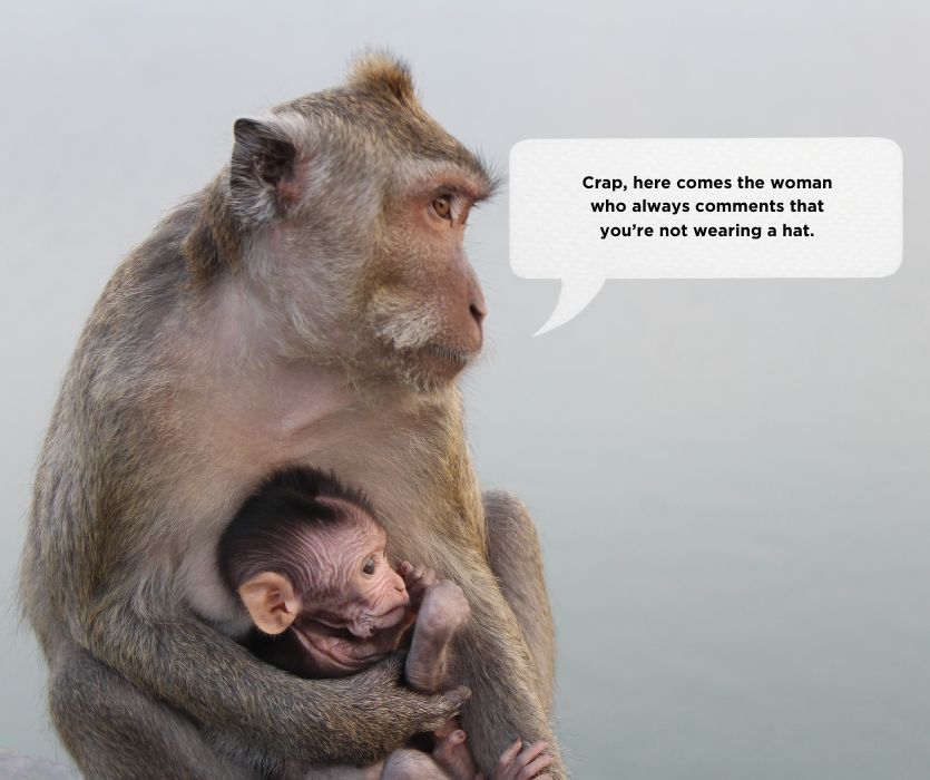 Macaque monkey holding its baby. A speech bubble jokes about a woman commenting on the baby not wearing a hat.