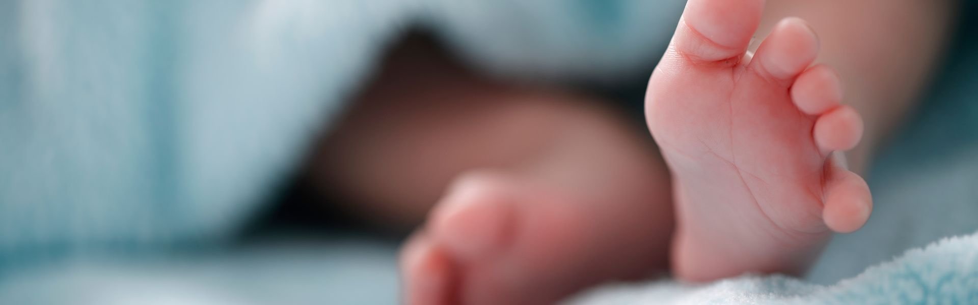 Close-up of a newborn baby's feet peeking out from under a soft blue blanket.