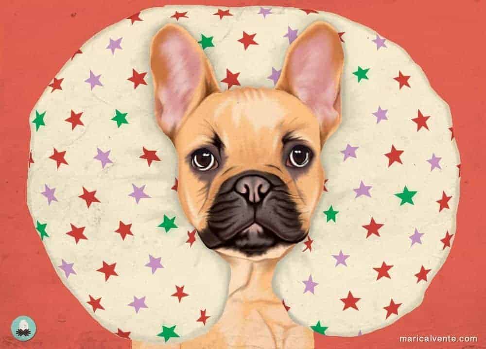 Illustration of a French Bulldog head resting in a white C-shaped nursing pillow with a colorful star pattern.