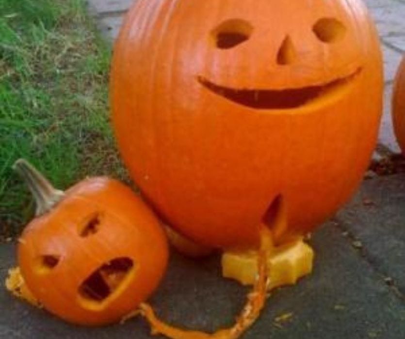 A large smiling jack-o'-lantern connected by an umbilical cord of seeds to a smaller, screaming carved pumpkin.