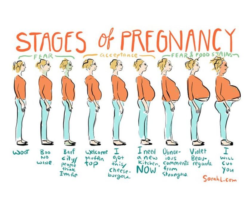 A hand-drawn “Stages of Pregnancy” chart shows a woman progressing from fear to acceptance to late pregnancy, with changing posture and expressions.