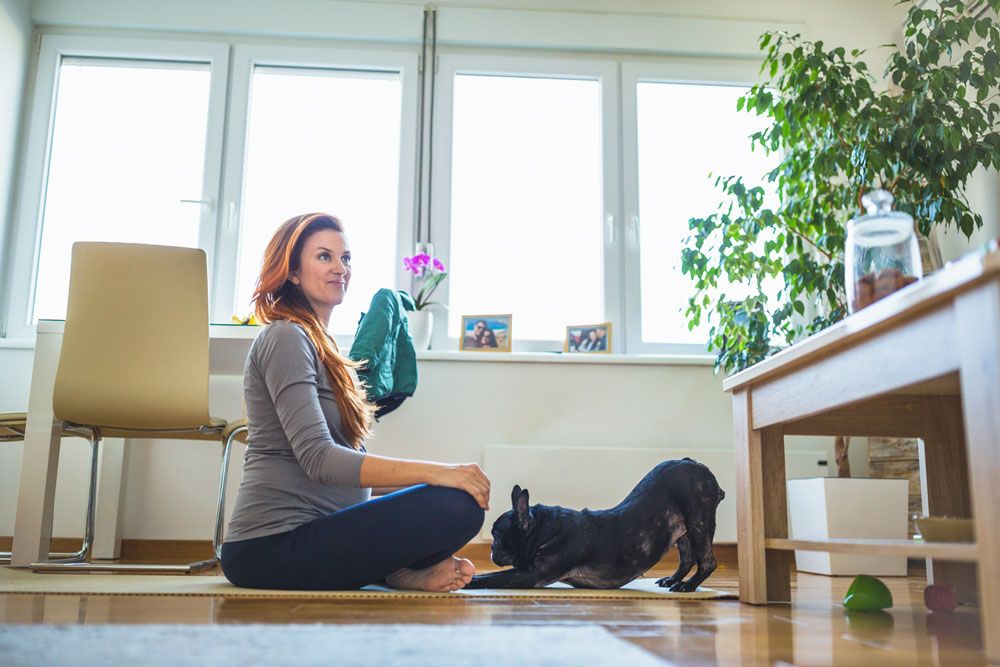 Pregnant woman sitting on a yoga mat in a brightly lit room while her black French Bulldog stretches in front of her.